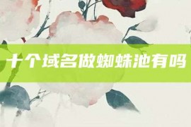 十个域名做蜘蛛池有吗