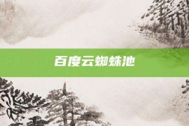 百度云蜘蛛池