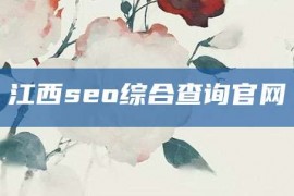 江西seo综合查询官网