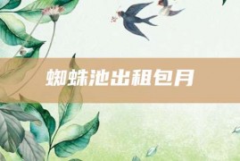 蜘蛛池出租包月