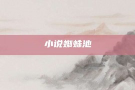 小说蜘蛛池