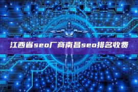 江西省seo厂商南昌seo排名收费