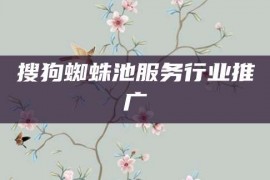 搜狗蜘蛛池服务行业推广