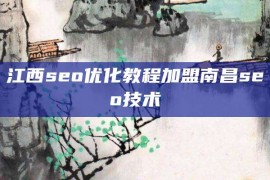 江西seo优化教程加盟南昌seo技术