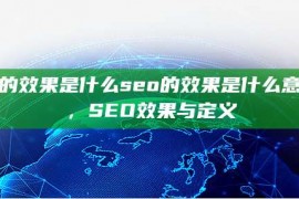 seo的效果是什么seo的效果是什么意思啊，SEO效果与定义