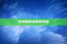 安装蜘蛛池教程视频