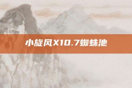 小旋风X10.7蜘蛛池