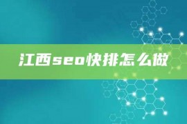 江西seo快排怎么做