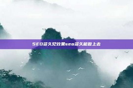 SEO多久见效果seo多久能做上去