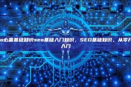 seo必备基础知识seo基础入门知识，SEO基础知识，从零开始入门