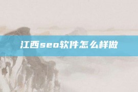 江西seo软件怎么样做