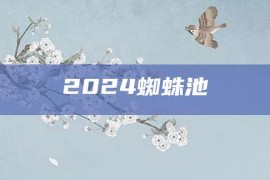 2024蜘蛛池