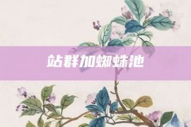 站群加蜘蛛池