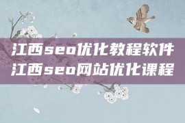 江西seo优化教程软件江西seo网站优化课程