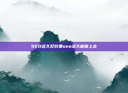 SEO多久见效果seo多久能做上去