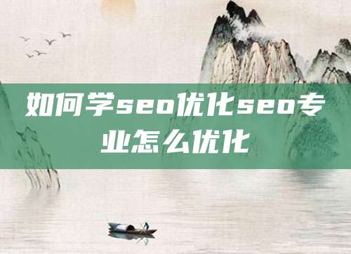 如何学seo优化seo专业怎么优化