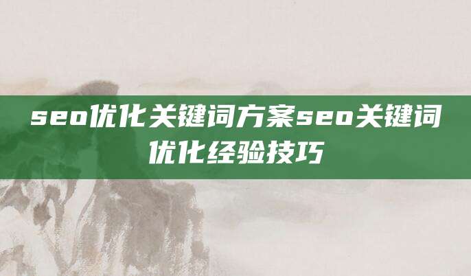 seo优化关键词方案seo关键词优化经验技巧