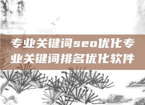 专业关键词seo优化专业关键词排名优化软件