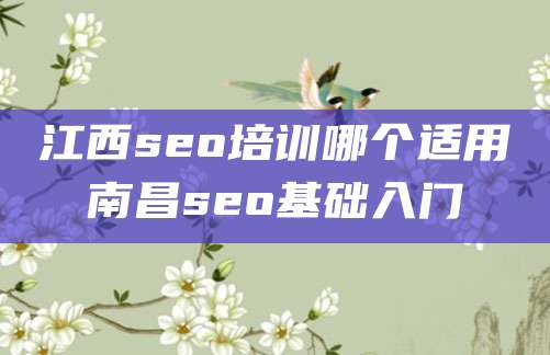 江西seo培训哪个适用南昌seo基础入门