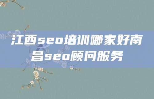 江西seo培训哪家好南昌seo顾问服务