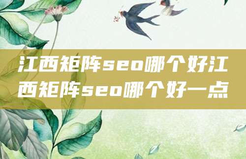 江西矩阵seo哪个好江西矩阵seo哪个好一点