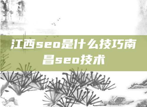 江西seo是什么技巧南昌seo技术