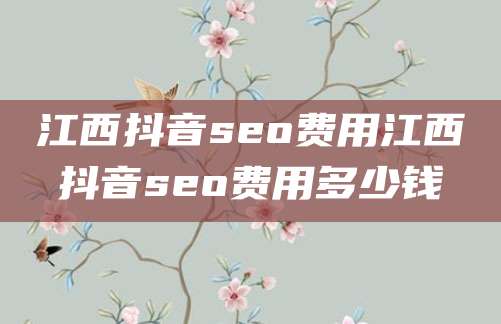 江西抖音seo费用江西抖音seo费用多少钱