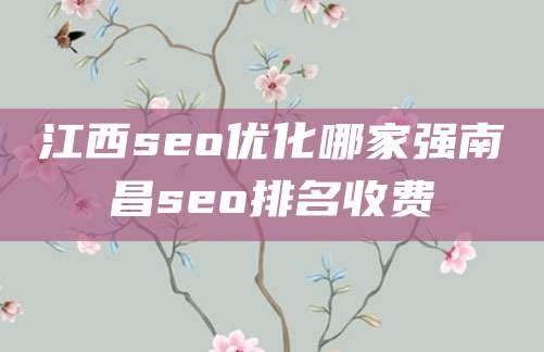 江西seo优化哪家强南昌seo排名收费