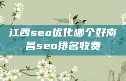 江西seo优化哪个好南昌seo排名收费