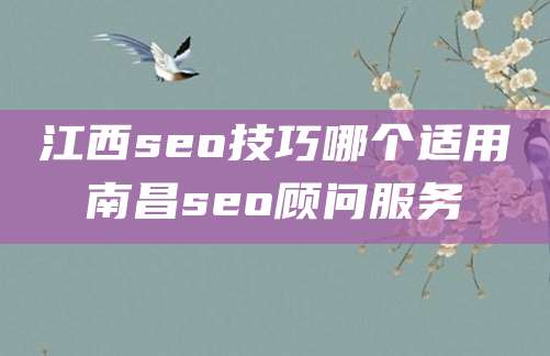 江西seo技巧哪个适用南昌seo顾问服务