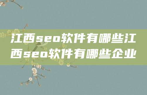 江西seo软件有哪些江西seo软件有哪些企业