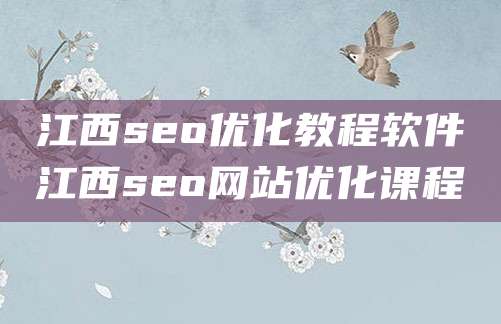 江西seo优化教程软件江西seo网站优化课程