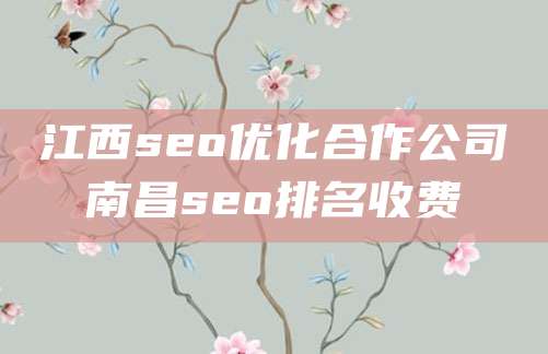 江西seo优化合作公司南昌seo排名收费