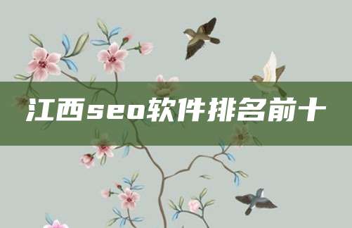 江西seo软件排名前十