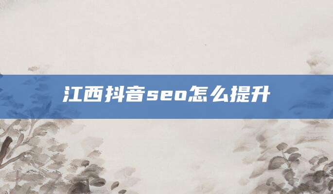 江西抖音seo怎么提升