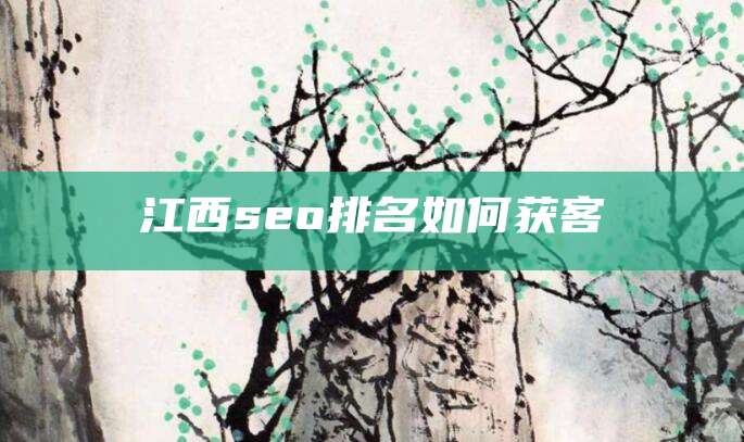 江西seo排名如何获客