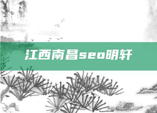 江西南昌seo明轩