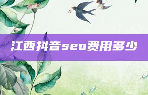 江西抖音seo费用多少