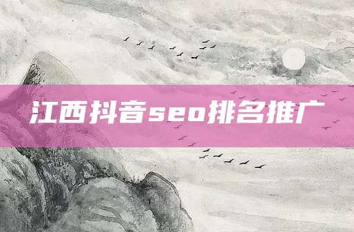 江西抖音seo排名推广