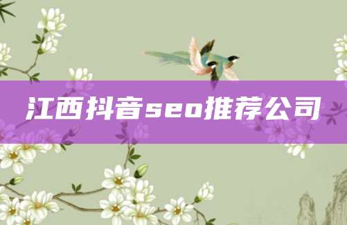 江西抖音seo推荐公司