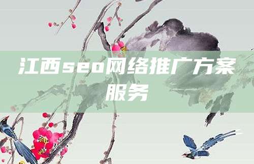 江西seo网络推广方案服务