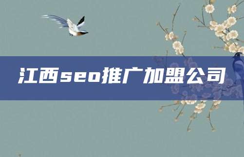 江西seo推广加盟公司