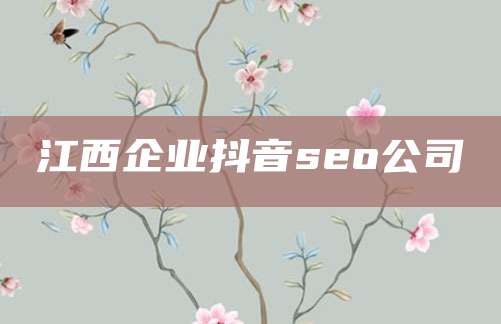 江西企业抖音seo公司