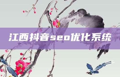 江西抖音seo优化系统