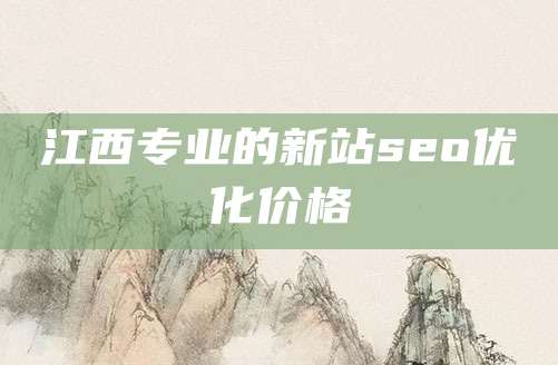 江西专业的新站seo优化价格