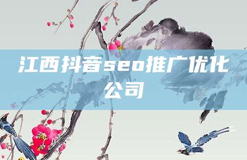 江西抖音seo推广优化公司