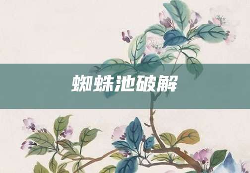 蜘蛛池破解