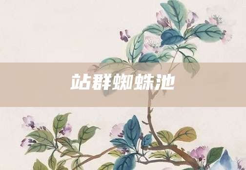 站群蜘蛛池