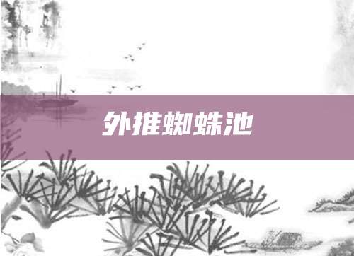 外推蜘蛛池