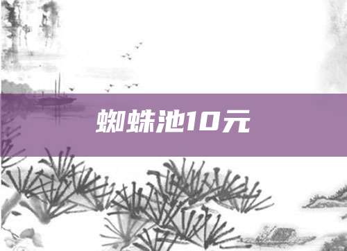 蜘蛛池10元